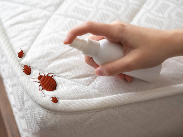 Emergency Pest Control in Thomasville, AL